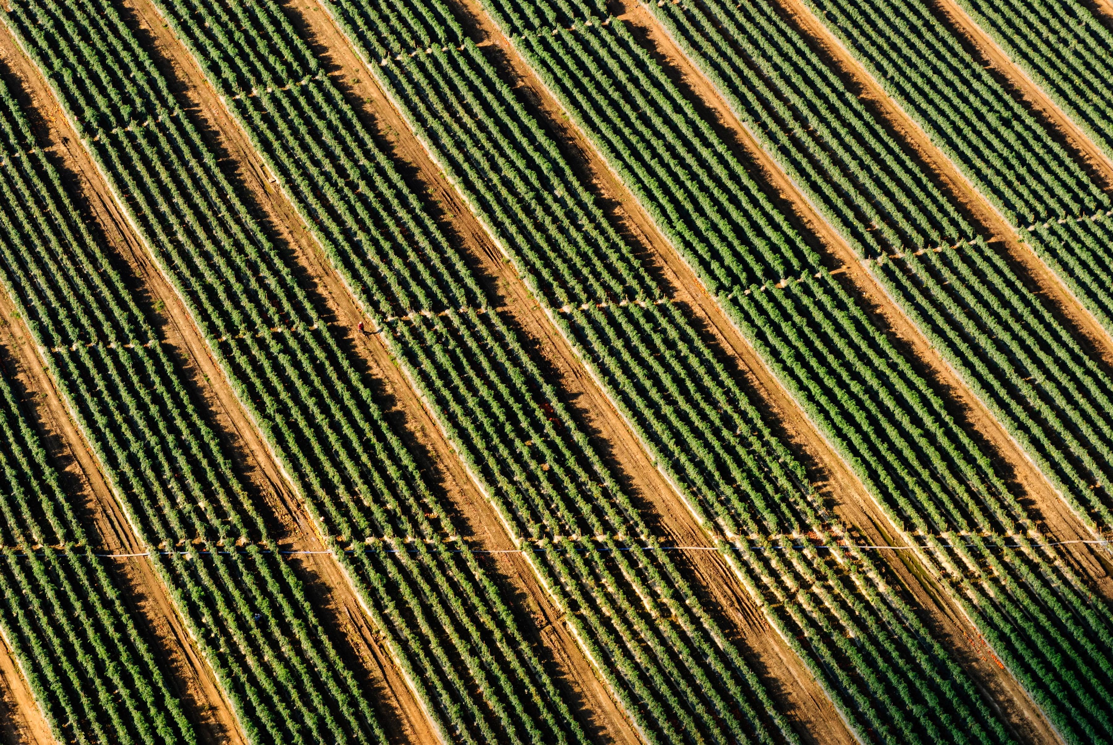 A reliable tracking of land-use emissions to assess progress towards the Paris Agreement