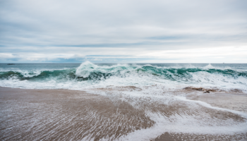 Una presentazione degli obiettivi generali del progetto H2020 IMMERSE, del Servizio Marino Europeo di Copernicus (CMEMS) e delle piattaforme DIAS, con un questionario per gli utenti, nell’ultimo webinar CMCC. Guarda il video e scarica la presentazione degli speaker