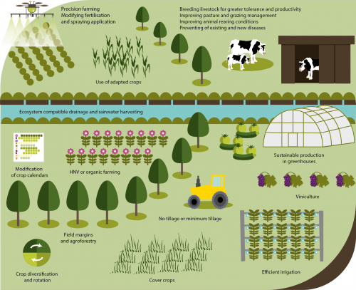 Climate Change Threatens Future Of Farming In Europe - CMCC