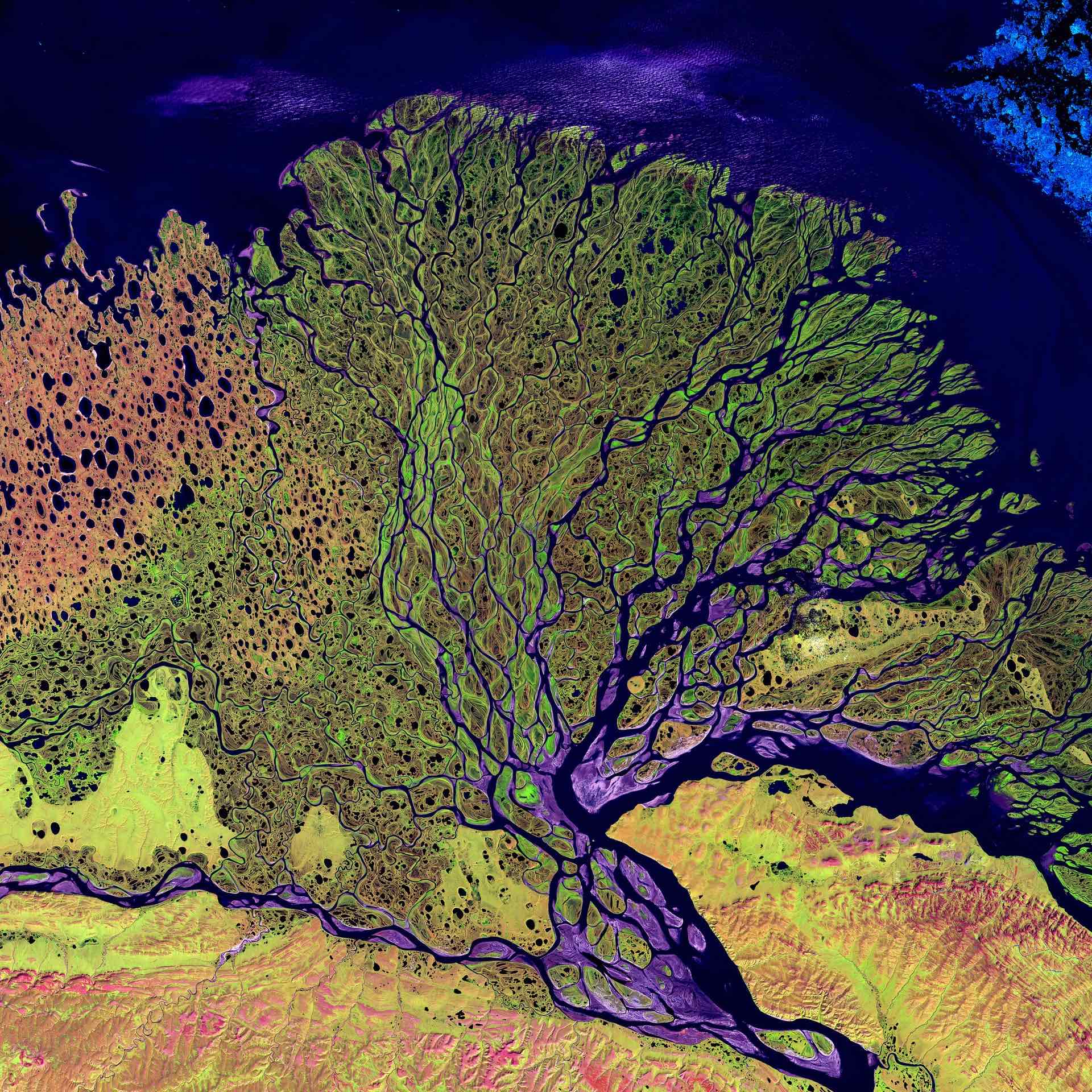 Il pianeta virtuale. Modelli climatici per studiare il futuro e capire il presente