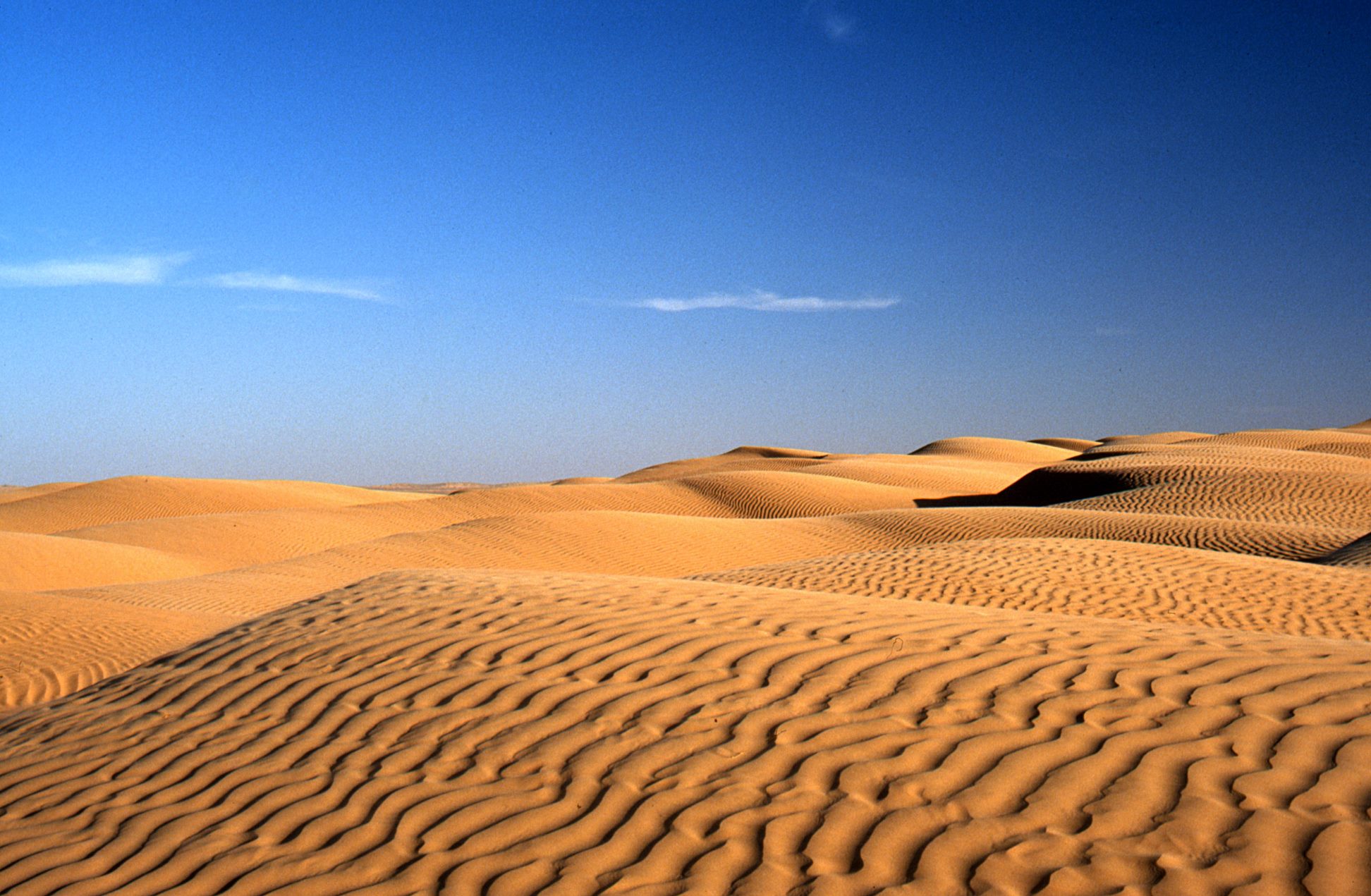 Il clima del futuro: scenari regionali su Medio Oriente e Nord Africa