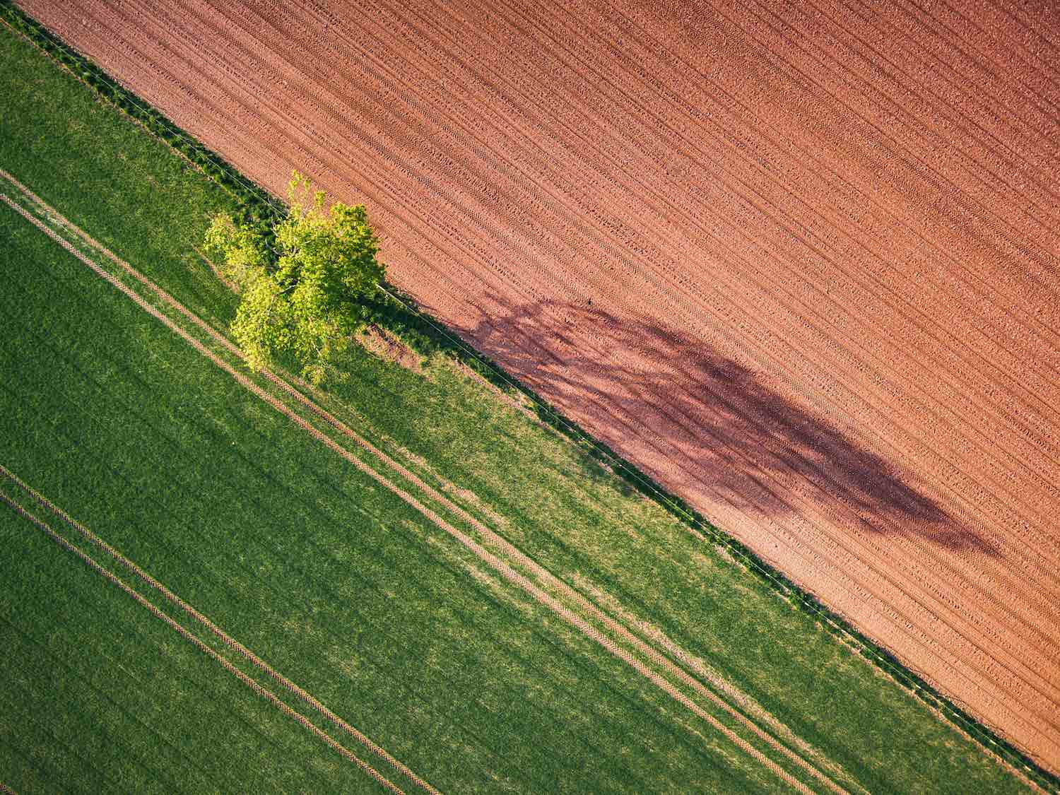 “Scienza e Gestione dei Cambiamenti Climatici”: le nuove edizioni di Master e Dottorato