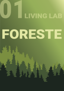 LL_foreste_cover