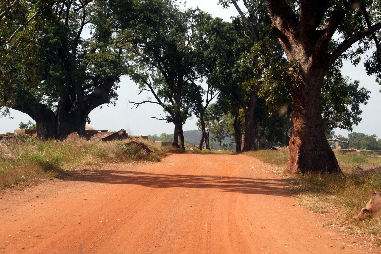 Child Health Vulnerability in Burkina Faso: the impacts of Climate Change