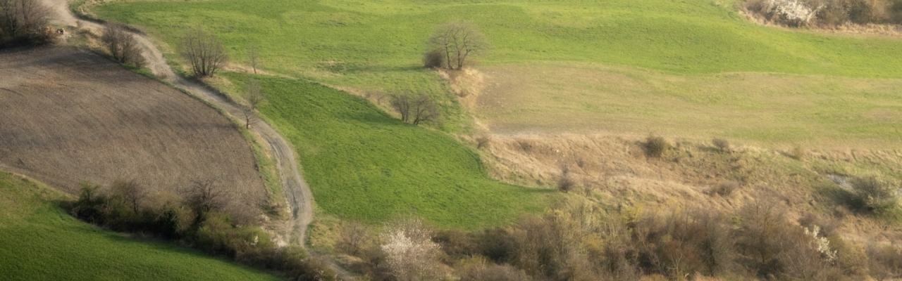 green countryside