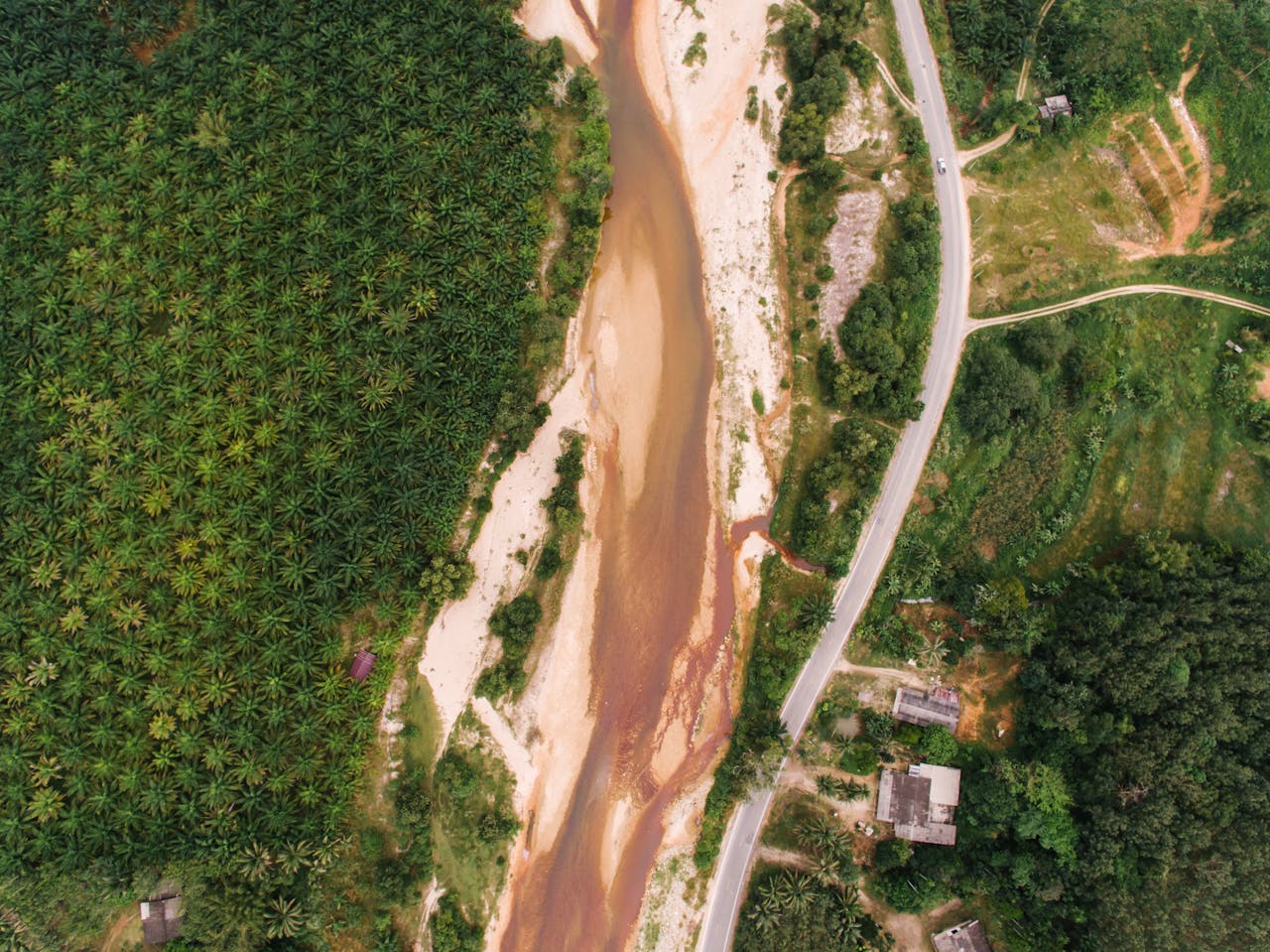 Olio certificato “deforestation-free”: la produzione alimentare sostenibile oltre il “senza olio di palma”