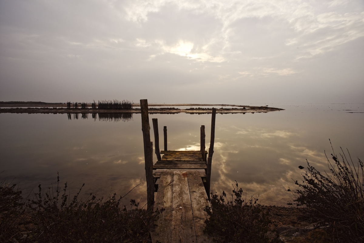 The role of river release in the Adriatic Sea