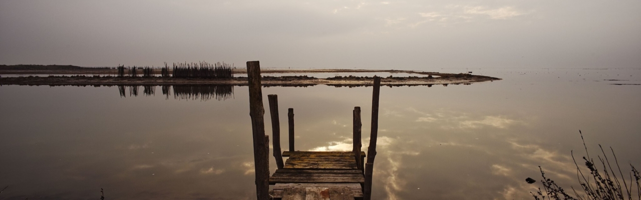 Po river delta