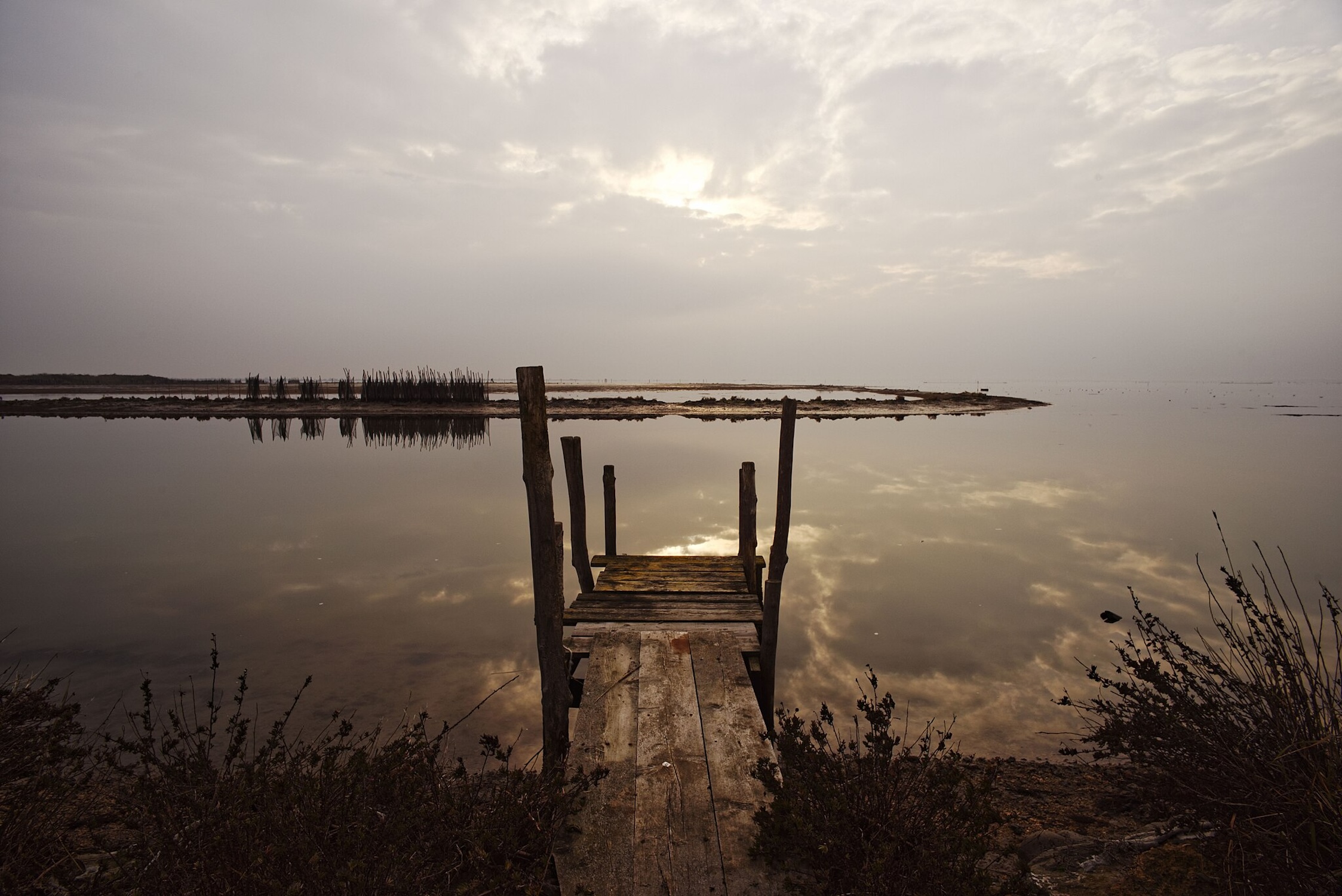 The role of river release in the Adriatic Sea