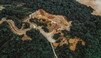 How we detect and map biomass loss in tropical forests can play an important role in conservation efforts. However, unlike large-scale deforestation, small-scale disturbances are often difficult to pinpoint and quantify. New analysis, led by CMCC researcher Chiara Aquino, helps improve our ability to monitor selective logging and in the process understand and manage the health of these vital ecosystems.