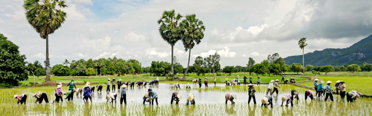 agriculture