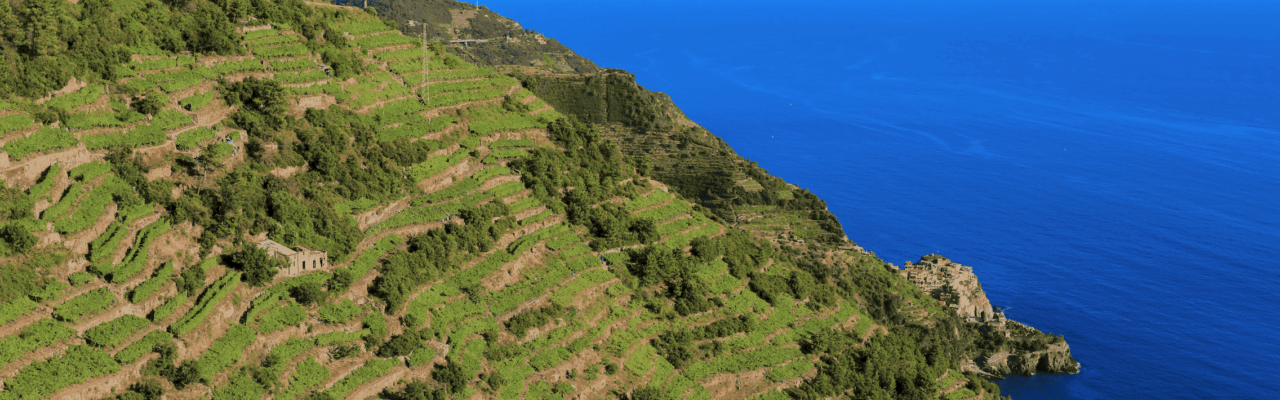 I muri a secco del Parco delle Cinque Terre