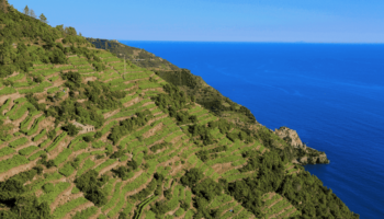 The dry stone walls of the Cinque Terre Park, Italy