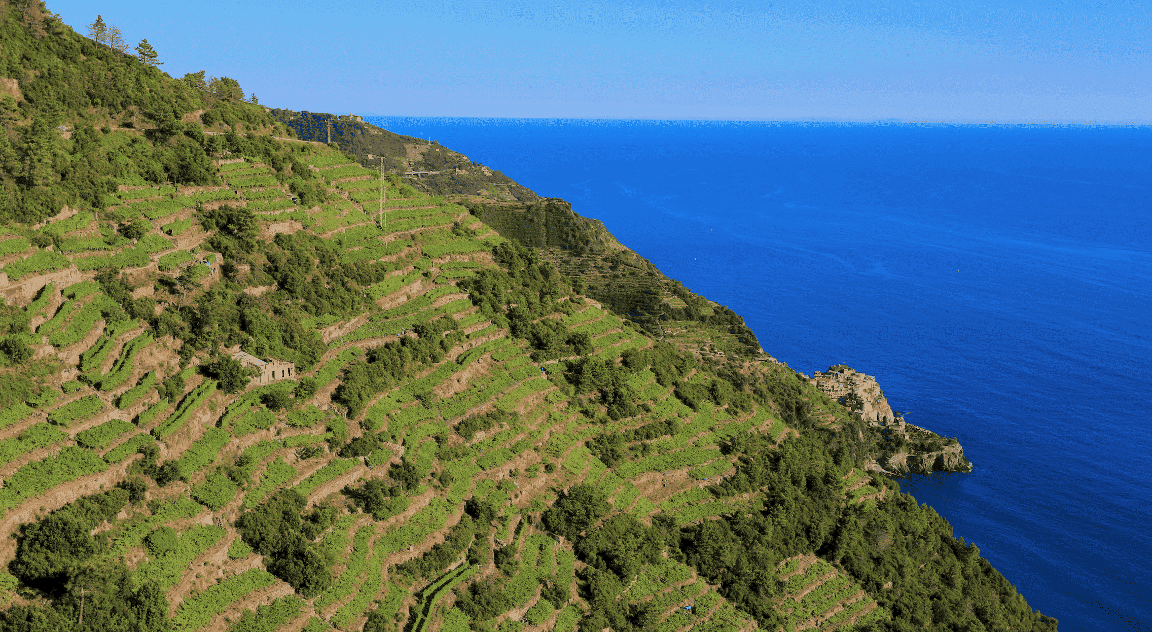 I muri a secco del Parco delle Cinque Terre