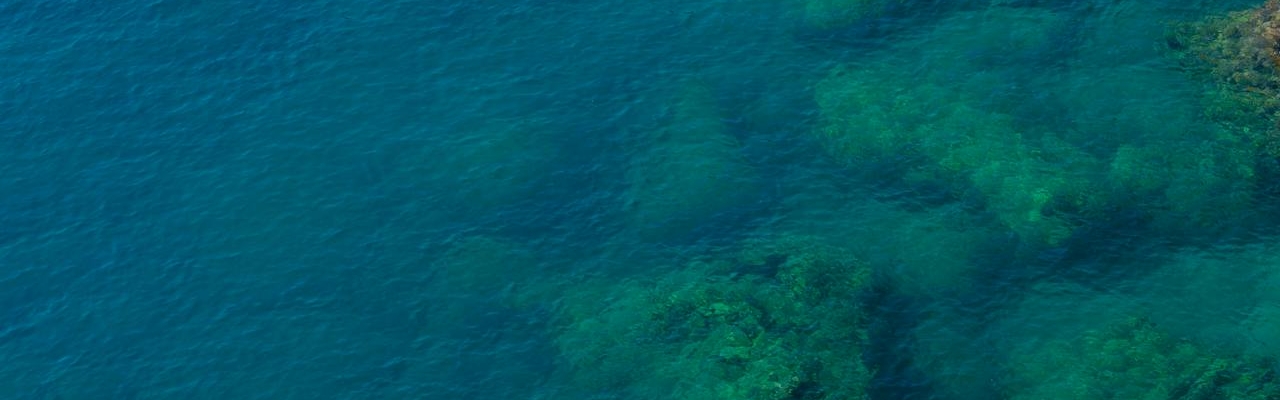 ocean with rocks