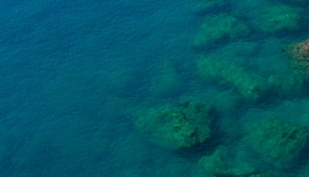 ocean with rocks