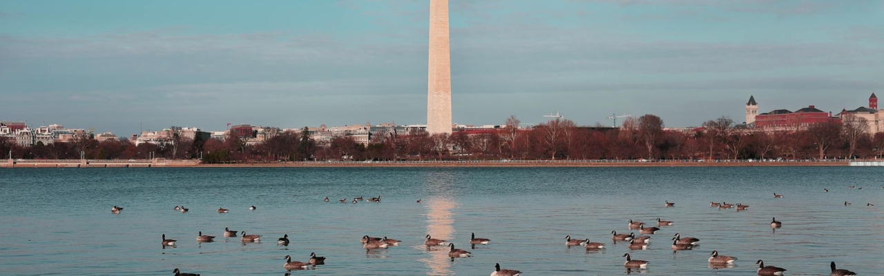 washington dc monument