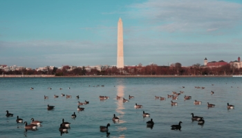 washington dc monumento