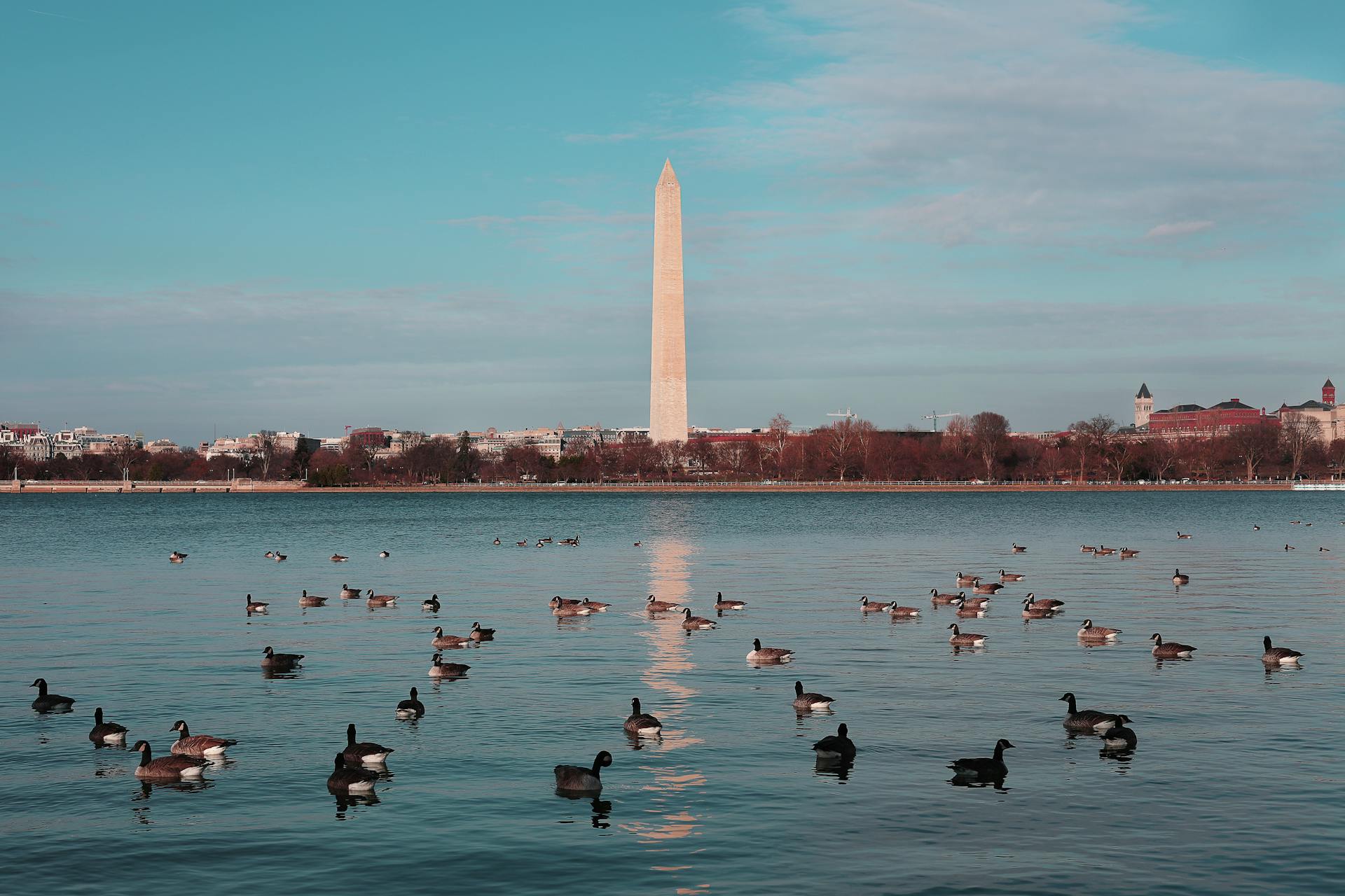 CMCC at AGU24: What’s next for science?