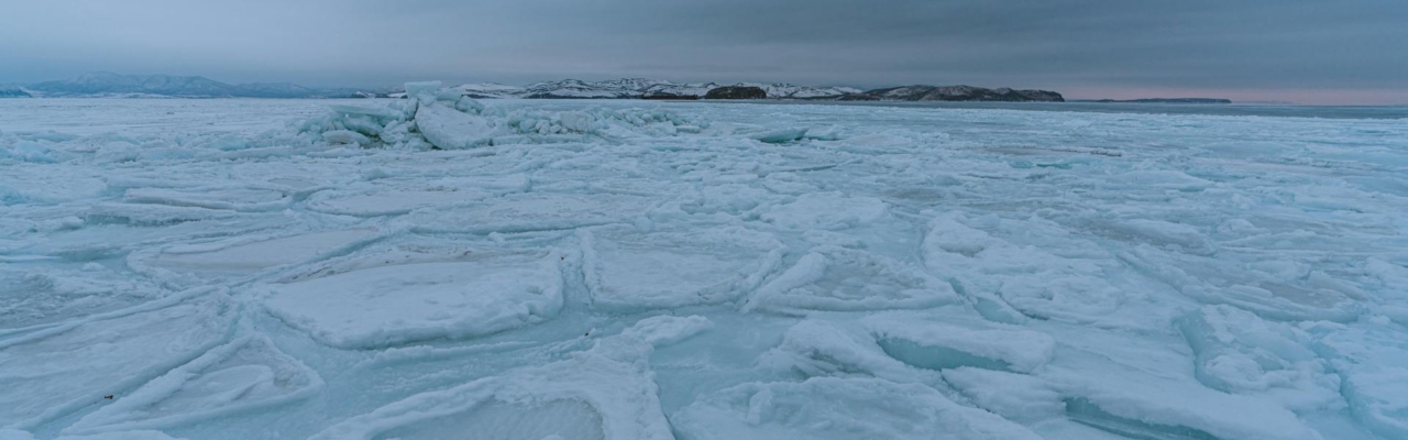 sea ice north pole