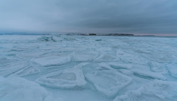 sea ice north pole