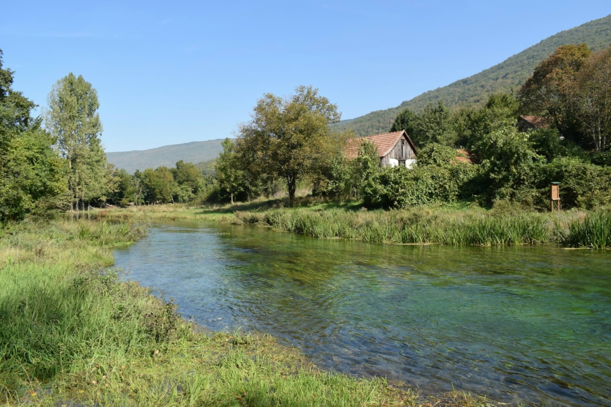 Climate change impacts spring discharge in the Mediterranean region