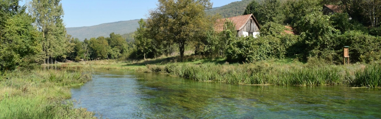 spring_water_Navarra