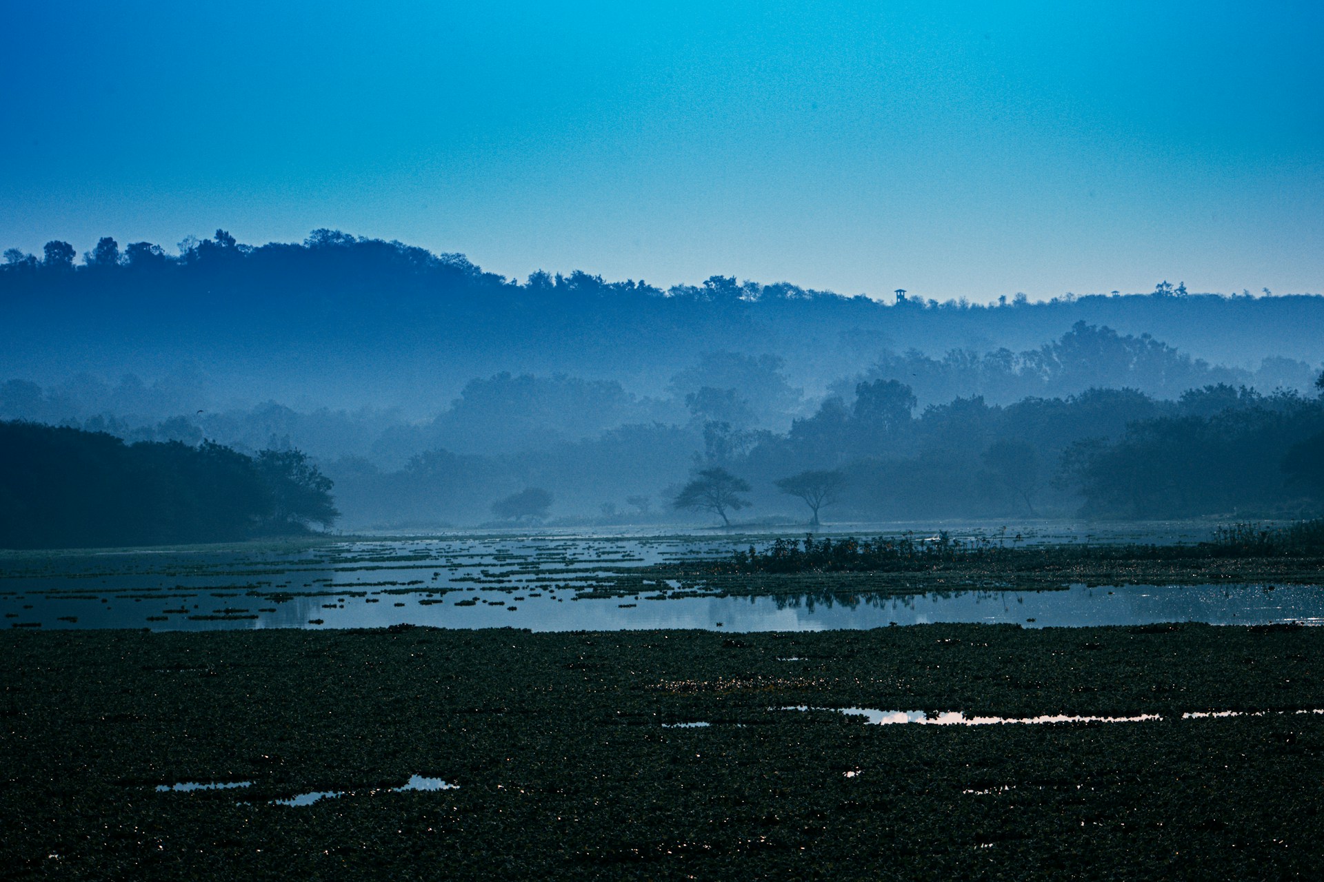 india monsoon season