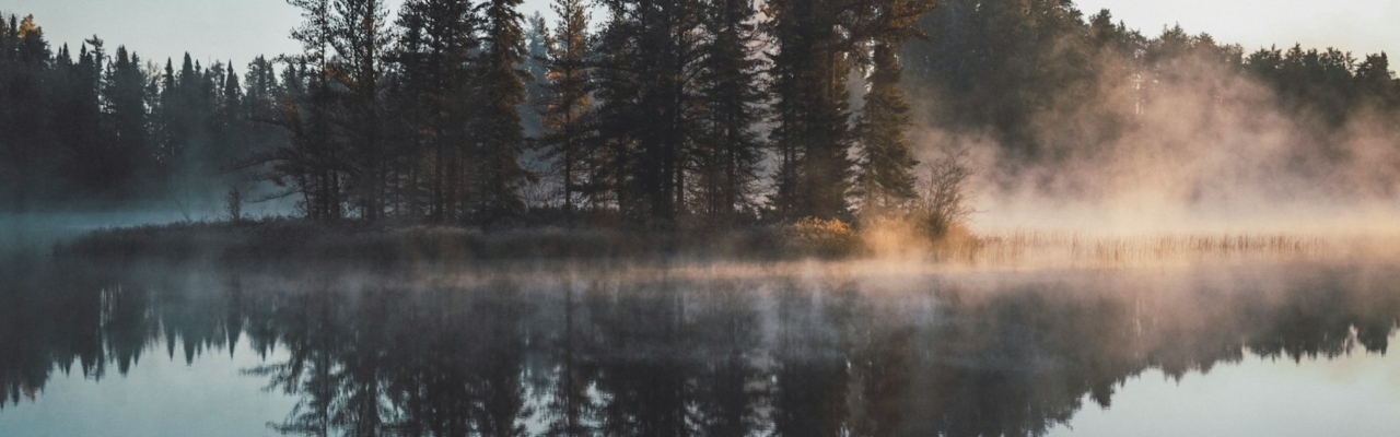 a lake with trees