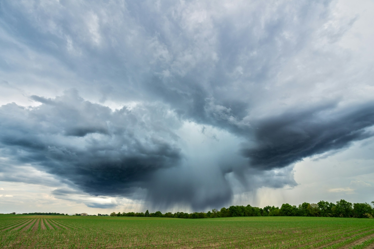 AI-driven climate and weather predictions: CMCC helps launch the WeatherGenerator Project