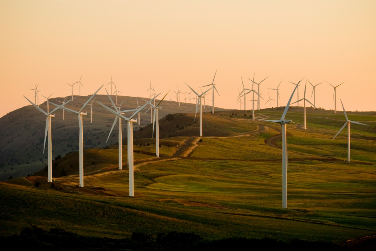 L’uso del suolo nelle soluzioni di adattamento e mitigazione dei cambiamenti climatici